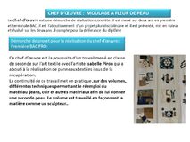 Galerie photo MOULAGE A FLEUR DE PEU - CHEF D'OEUVRE 2021-2023